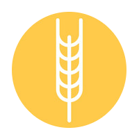 Gluten